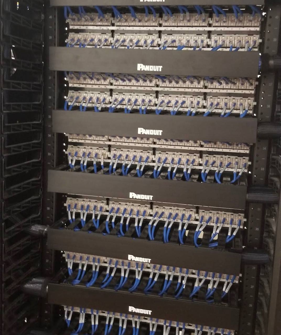 Rear of the same Menlo Park Panduit data rack showing blue Category 6 station cable combed into uniform bundles and punched down to numbered rear terminations