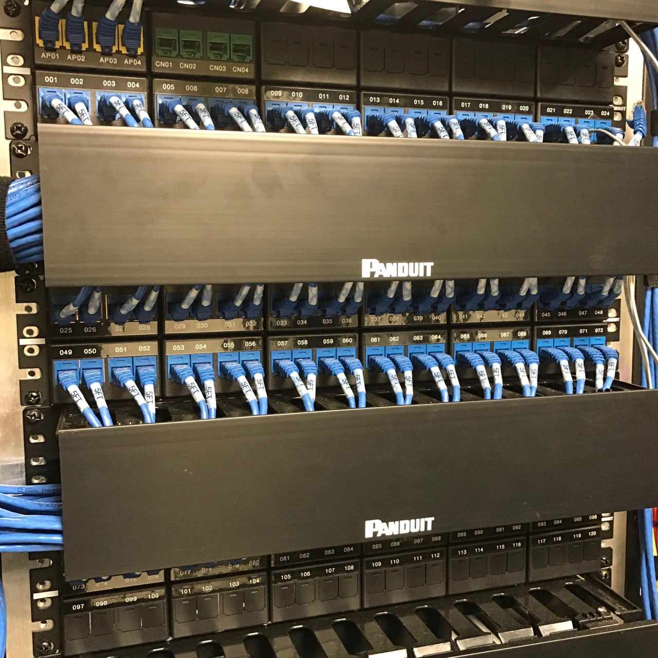 Twelve labeled 24-port patch panels arranged to TIA-606 labeling standards above a Panduit rack.