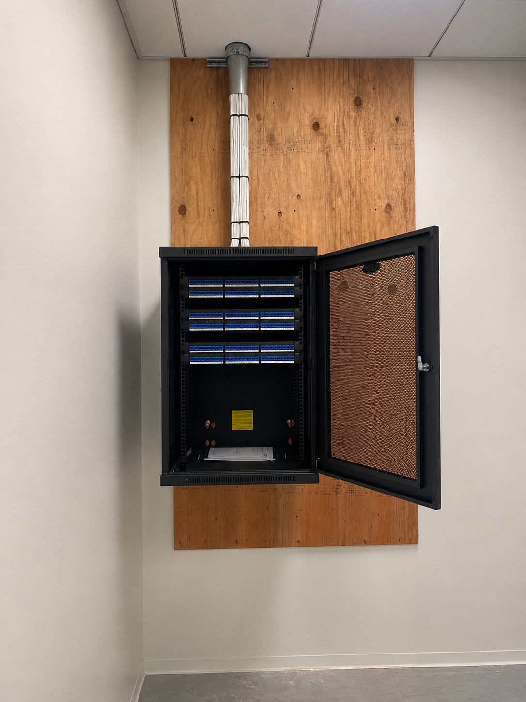 Enterprise server room aisle with shielded Cat6A trunk bundles routed on overhead ladder rack.